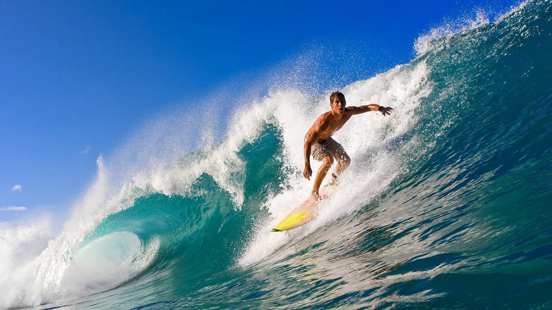 迈向职业巅峰:运动员的成长之路,运动员生涯的感悟