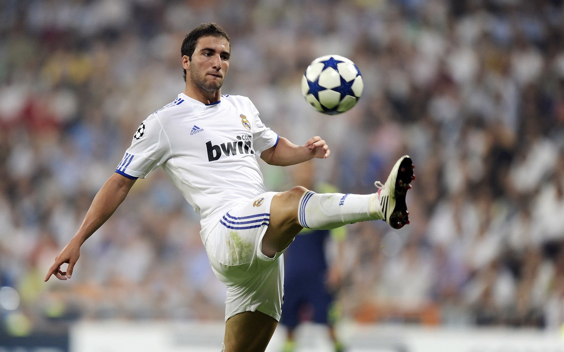 日本队稳扎稳打，步步为赢！，日本队怎么样